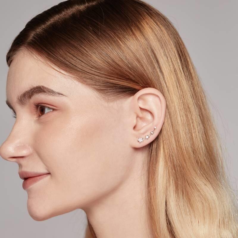 Climber Earrings